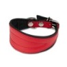 Obroża dla psa, wzór chart, 50MM/30CM czerwona