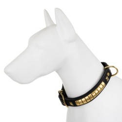 Obroża dla psa, wzór exclusive gold, skóra natłuszczana, 35MM/65CM czarna