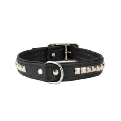 Obroża dla psa, wzór kostki, 25MM/56CM czarna