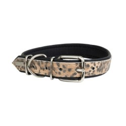 Obroża dla psa, CHEETAH, 12mm/32cm