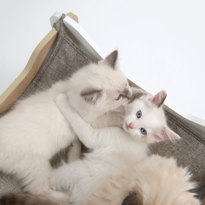 Domek dla kota Catit Vesper Cabana 50x50x53cm,