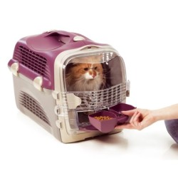 Drzwi zapasowe do trasporterów Cabrio - CH-7803