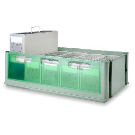 Maxi Tino, skrzynka, z 5 transporterami Secondino Maxi, dla ptaków, zielony, 66,8 x 34,3 x wys21 cm,