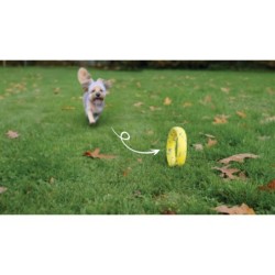Zeus Nitro, ringo z gumowym rdzeniem, zabawka, dla psa, 16 cm