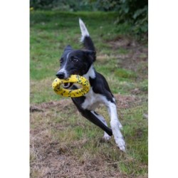 Zeus Nitro, ringo z gumowym rdzeniem, zabawka, dla psa, 16 cm