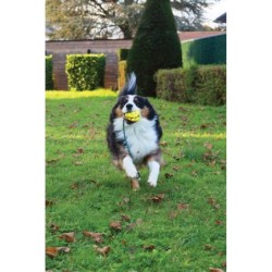 Zeus Nitro, Slinger z linką, zabawka, dla psa, 9,2 cm, z gumowym rdzeniem