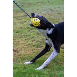 Zeus Nitro, Slinger z linką, zabawka, dla psa, 9,2 cm, z gumowym rdzeniem