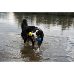 Zeus Nitro, kość z linką, zabawka, dla psa, 26 cm, pływająca