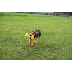 Zeus Nitro, kość, zabawka, dla psa, 16 cm