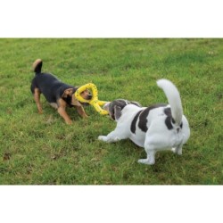 Zeus Nitro, Tugger, zabawka, dla psa, 22 cm