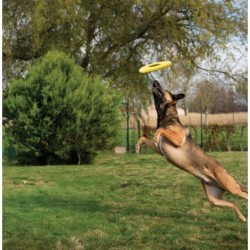 Zeus Nitro, dysk do rzucania, zabawka, dla psa, 24 cm