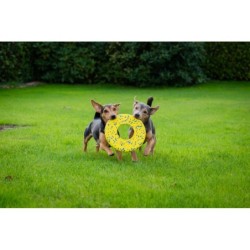 Zeus Nitro, dysk do rzucania, zabawka, dla psa, 24 cm