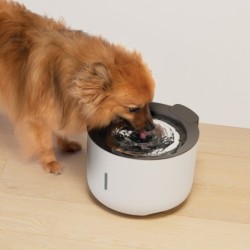 Zeus Oasis Fountain, fontanna dla psa, jasnoszara, 3l, 24x17 cm, USB