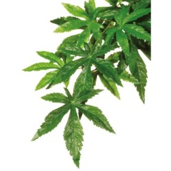 Roślina sztuczna – Silk Abuliton, S