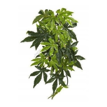 Roślina sztuczna – Silk Abuliton, M