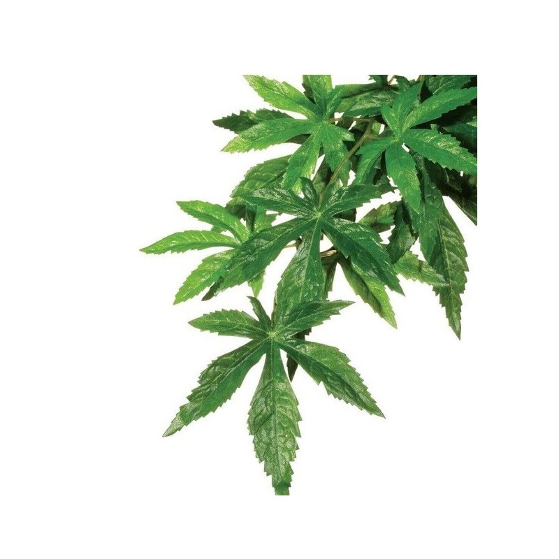 Roślina sztuczna – Silk Abuliton, L