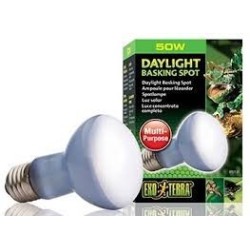 Żarówka Daylight Basking Spot R20/50W