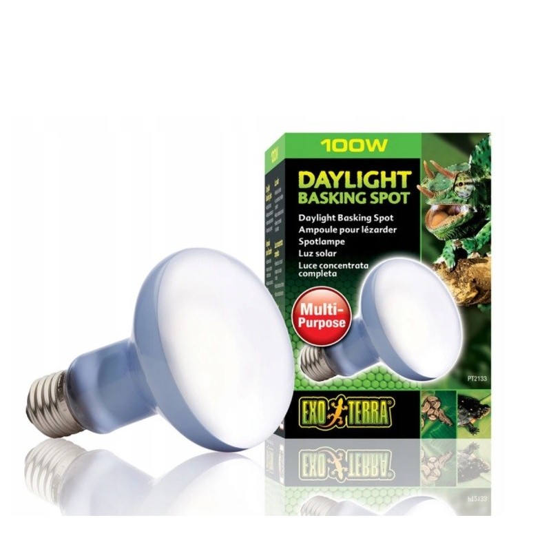 Żarówka Daylight Basking Spot R25/100W