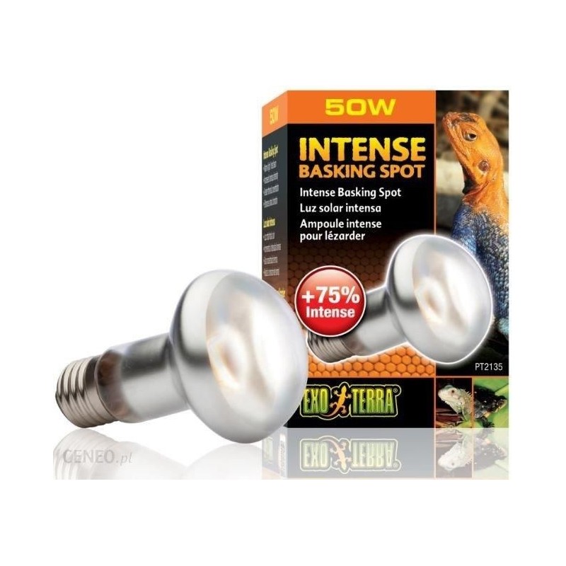 Żarówka Intense Basking Spot 50W, 63mm