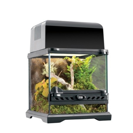 Terrarium szklane NANO, 20x20x20cm