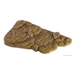 Wyspa dla żółwia, M