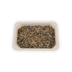 Trawa dla kota w pojemniku, 100g