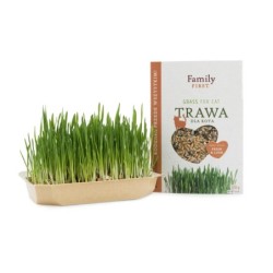 Trawa dla kota w pojemniku, 100g
