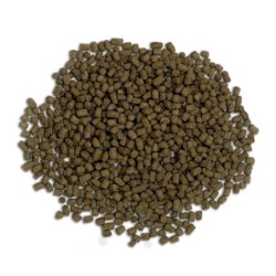 Bug Bites Cichlids Formula, pokarm dla pielęgnic, S/M, granulat, 45g