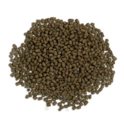 Bug Bites Cichlids Formula, pokarm dla pielęgnic, M/L, granulat, 100g