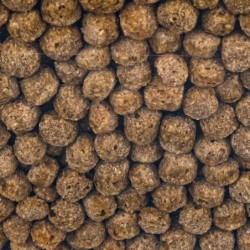 Karma dla ptaków wodnych 1kg