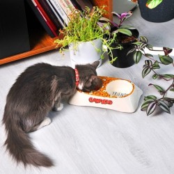 Garfield, podwójna miska z melaminy dla kota, biała/żółta