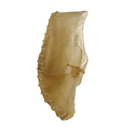 BUT NATURALNY DUŻY, 20cm, 1szt/op, 96 op/karton