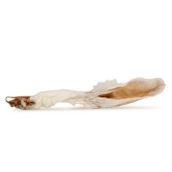 Puzzo Snack, przysmak dla psa, ucho królicze z futrem, około 20-25cm, 1kg