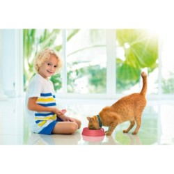 DEA 1, miska, dla kota, mix kolorów, 0,6L, 20x5 cm