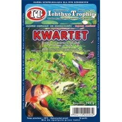 MROŻONKA KWARTET 100G