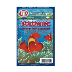 MROŻONKA SOLOWIEC/ARTEMIA INTENSYWNA CZERWIEŃ 100G