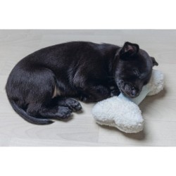 Zabawka, dla szczeniaka, kość, pluszowa, biała,  20cm