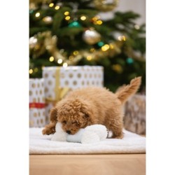 Zabawka, dla szczeniaka, kość, pluszowa, biała,  20cm