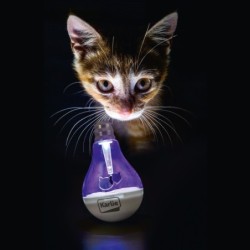 Karlie, zabawka o kształcie żarówki, swiatełko led, wbudowana bateria, dł. 7 cm , szer. 7 cm