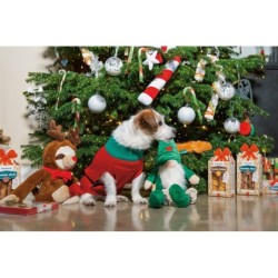 Beeztees, świąteczny przysmak, dla psa, laska/ warkocz ze skóry surowej