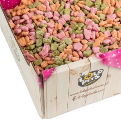 Ciastka dla psa mini mix zwierzątka warzywne w skrzynce  2kg