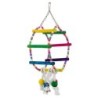 Huśtawka, dla ptaków, wisząca, drewniana, 30 cm, z bawełnianymi sznurkami