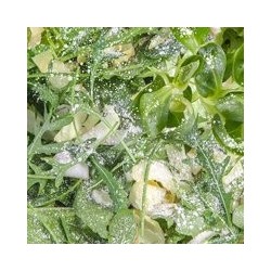 Reptimineral H 100 ml - witaminy dla gadów