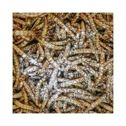 Reptimineral C  100 ml, granulat - gady, pokarm uzupełniający