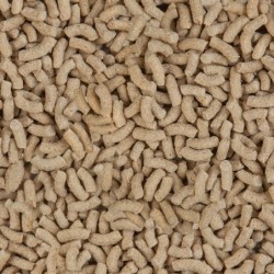 Pond Color 3.800 ml, granulat - pokarm wybarwiający dla ryb stawowych