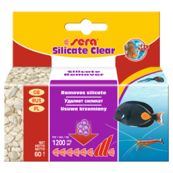 Silicate clear 60 g