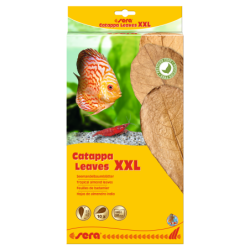 Liście migdałecznika - Catappa Leaves XXL, 32 cm, 10szt/OPAK