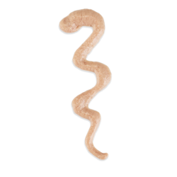 Stix, przysmak, dla kota, kaczka, 6x15 g, saszetka