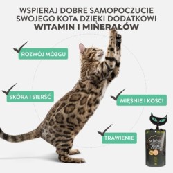 After Dark Velvet Mousse, karma mokra, dla kota, kurczak, 80 g, saszetka