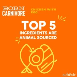 Born Carnivore, karma sucha, dla kotów dorosłych, kurczak z jajkiem, 255 g, worek